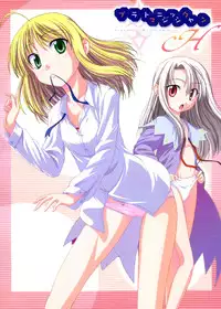 (C67) [Jishou Seijunha (Hiroyuki)] PLATONIC MAGICIAN H (Fate/stay night)