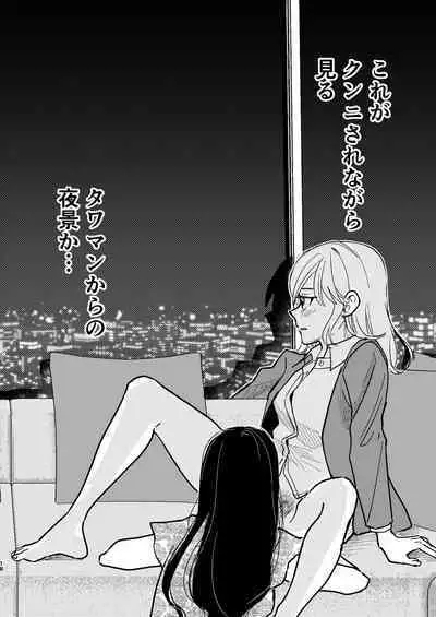 Tower Mansion Cunni Caste