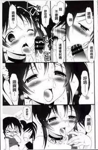 [Bloomer Hogero] Pudding Principle [Chinese]