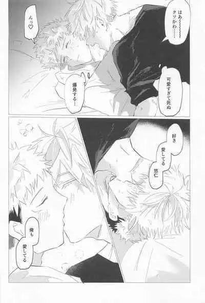 sekaiichikawaiikimihe