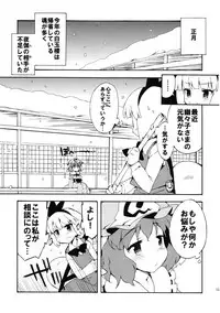 (Reitaisai 10) [Dr.VERMILION (Petenshi)] Meikai Inkou -Adehada Kirokuchou- (Touhou Project)