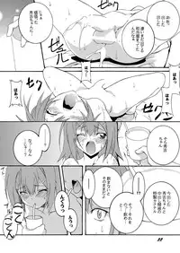 [F.A (Honoutsukai)] Hideyoshi to Nikubenki to Choukyou Geki Ichi (Baka to Test to Shoukanjuu) [Digital]