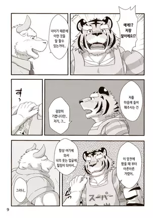 Tora no Tenin-san
