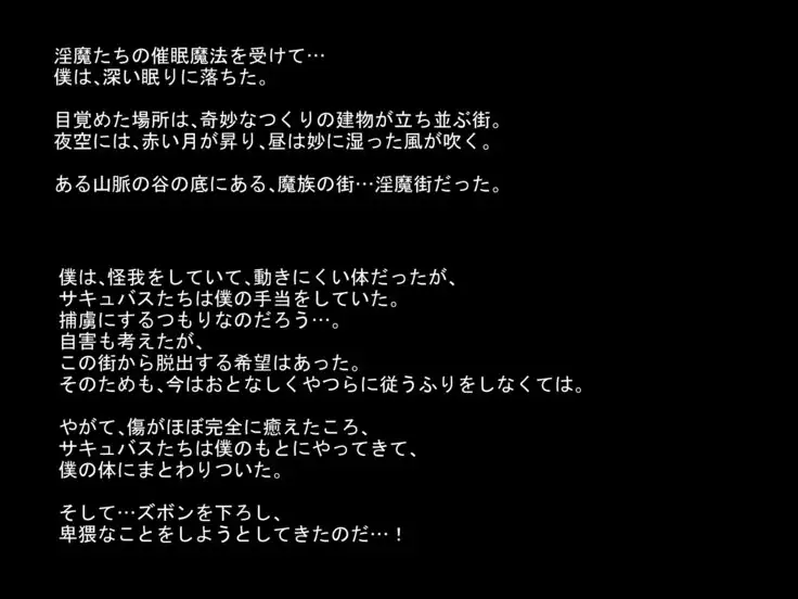 Inmagai de Nyotai ni Sareteiku Seikishi no Boku ~Kairaku de Tokasareru Hokori~