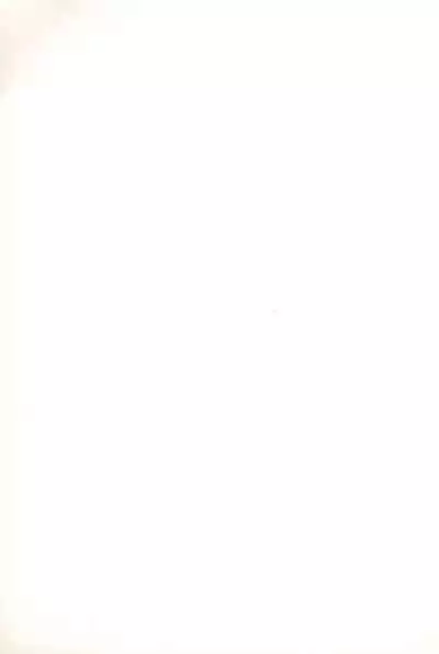 Last Resort FUN HOUSE 12