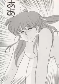 (C43) [Secret Society M (Kitahara Aki)] ANICE (Sonic Soldier Borgman)