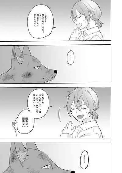 Okitsune-sama o Hiroimashita