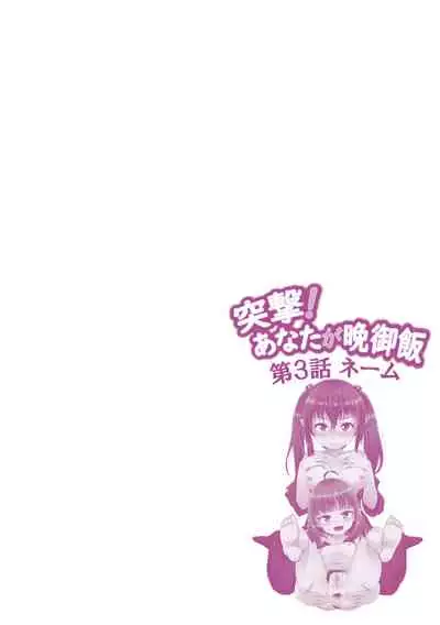 Totsugeki! Anata ga Bangohan