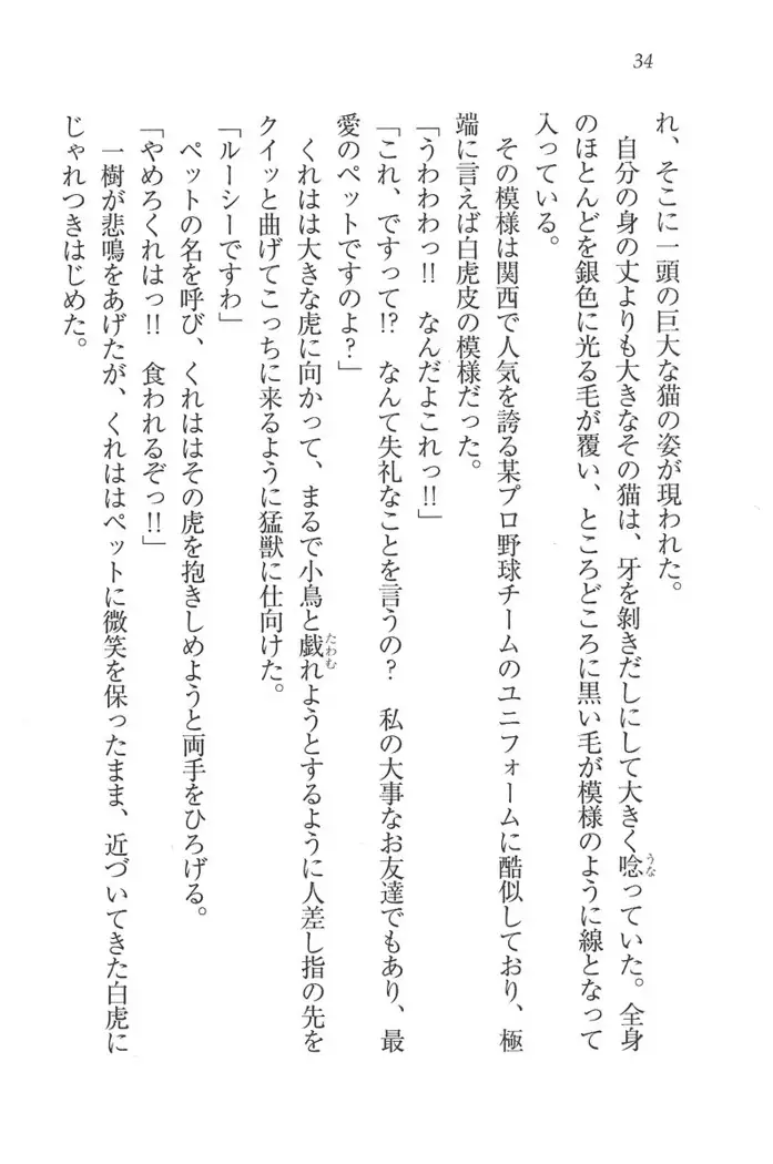 お嬢様はメイド様!？