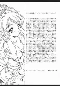 (C68) [Yokohama Junky (Makari Tohru)] Pasiri (Futari wa Precure Max Heart)
