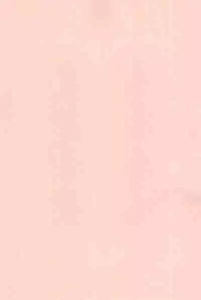 [Studio Rakkyou (Takase Yuu, Ashisyun)] Kanzen Nenshou 14 (Otogi-Jushi Akazukin) [2007-04-15] [Chinese] [牛肝菌汉化]