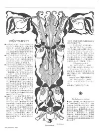 [LUCK&PLUCK!Co. (Amanomiya Haruka)] Li Kohran no Gottsuee Kanji (Sakura Wars) [1997-05-25]