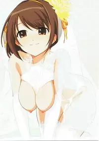 (C87) [Royal Bitch (haruhisky)] HARUCOS (Suzumiya Haruhi no Yuuutsu)