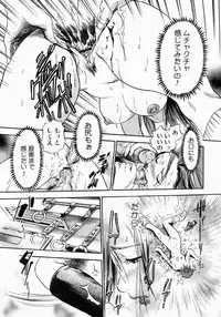 [THE SEIJI] Otou-san Gomennasai.