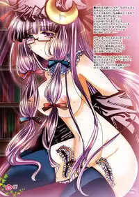 [Burning Soul (Sakayaki)] Touhou log (Touhou Project) [Digital]