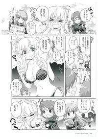 Walkure Romanze More & More Visual Fan Book