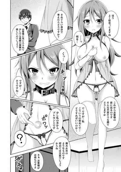 Daraku no Temptation - Fallen Tempation