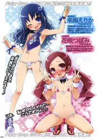 (C78) [life, Digital Flyer (Haga Yui, Ohta Yuuichi)] DIGITAL LIFE 2010 SUMMER Hana (HeartCatch Precure!)