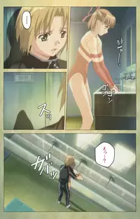 [Panda House] [Full Color Seijin Han] Shintaisou (Shin) etude.1 Complete Ban [Digital]