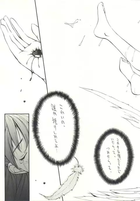 Miyamu - El Encantado Sueno