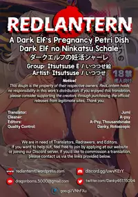 [Itsutsuse E (Itsutsuse)] Dark Elf no Ninkatsu Schale | A Dark Elf's Pregnancy Petri Dish [Digital] [English] [Redlantern]