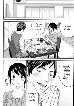 Netoraserare Vol.1-3