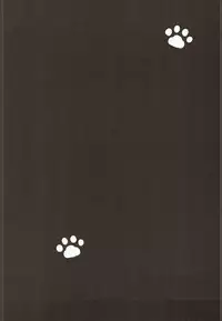 (C92) [Suzume Nest (Umi Suzume)] Yayoi to Nyanko na Katachi 2 (Kantai Collection -KanColle-)