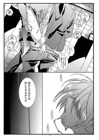 (C81)[Inkstone (Amami Ryouko)] Riot -Remix- (Battle Spirits)