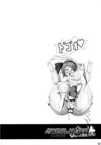 (Reitaisai 13) [Nijusei (Various)] Touhou Sakunyuu Goudoushi Demo Gensoukyou no Musume no Sakunyuu nara Chotto Mitai kamo... (Touhou Project)