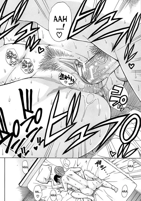 Tada Koishikute, Aitakute...