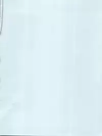 (C89) [Old School Academy (Amedama Akihito)] Lets Go no Joshi (Bakusou Kyoudai Lets & Go!!)