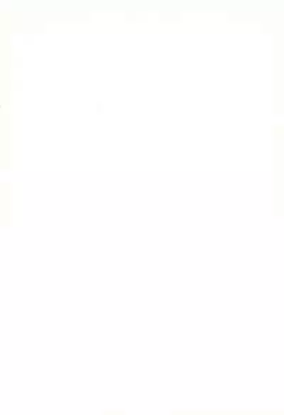 Last Resort FUN HOUSE 12