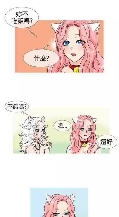 小野貓馴服手冊