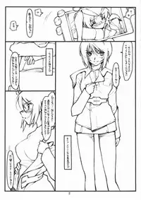 (SC28) [bolze. (rit.)] Miscoordination. (Mobile Suit Gundam SEED DESTINY)