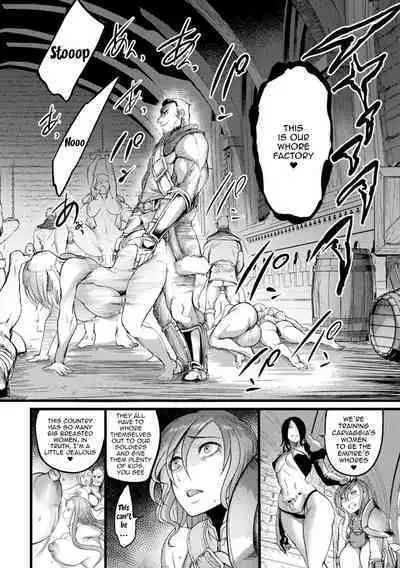 [Remu] Teikoku no Nikubenki ~Otosareta Hime to Onna Kishi~ | The Empires Meat Toilet ~The Fallen Knight and Princess~ (2D Comic Magazine Nikubenki Koujou Vol. 1) [English] [Doujins.com]