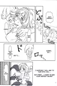 (C60) [Fetish Children (Apploute)] Hime no Omo-Kage (Prétear - The New Legend of Snow White) [English] [Tigoris Translates]