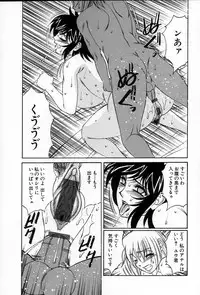 [Yamamoto Yoshifumi] Inzetsu no Bara - Desolute Rose