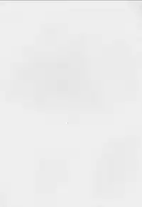 (C63) [NOUZUI MAJUTSU, NO-NO'S (Kawara Keisuke, Kanesada Keishi)] Daibouken Hitomi-chan