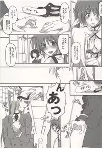 (C89) [STROLL IN THE WOODS !! (ELF)] Nanoha-san Shimei Haittemasu yo (Mahou Shoujo Lyrical Nanoha)