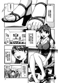 [THE SEIJI] OL Seitai Zukan - Female Office Worker Ecology Picture Book [Chinese]