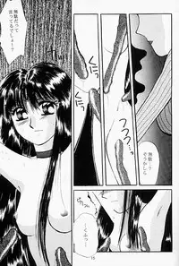 Moonlight (Bishoujo Senshi Sailor Moon)