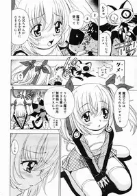 COMIC Megastore 2005-06