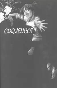 (C66) [IRODORI (SOYOSOYO)] Soyosoyo's Works - Uraraka (Final Fantasy X, Sakura Taisen)