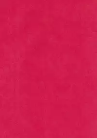 (C61) [Shin Shikkoku Zakkyo Koubou (Miyamoto Rumi, Motoya Shin)] Shitteru kuse ni! Vol. 30 (Fruits Basket)