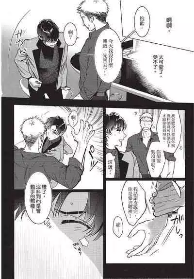 Chihireru Kubiwa | 碎裂的项圈