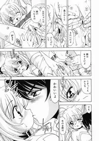 COMIC Megastore 2005-06