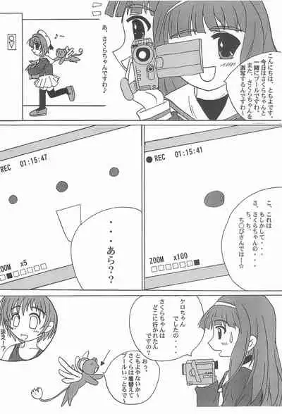 JEWEL BOX PINK SHOCK