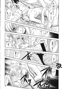 (Toramatsuri 2010) [PLUM (Kanna)] Mahou Shoujo Magical SEED Candle (Mahou Shoujo Lyrical Nanoha)