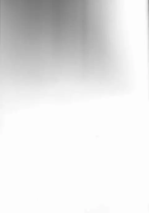 Barubatosu wa Mikadzuki-san no Taisetsu na Mono o Ubatte Ikimashita