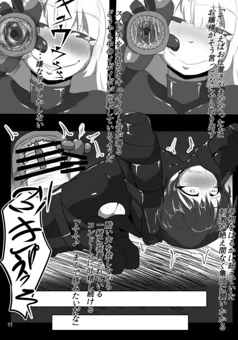 Ojou-sama no Gom Pet